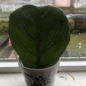 Meet your Posher, Lydia